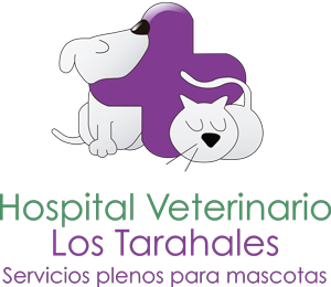 Hospital Veterinario Los Tarahales