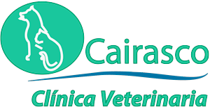 Clinica Veterinaria Cairasco